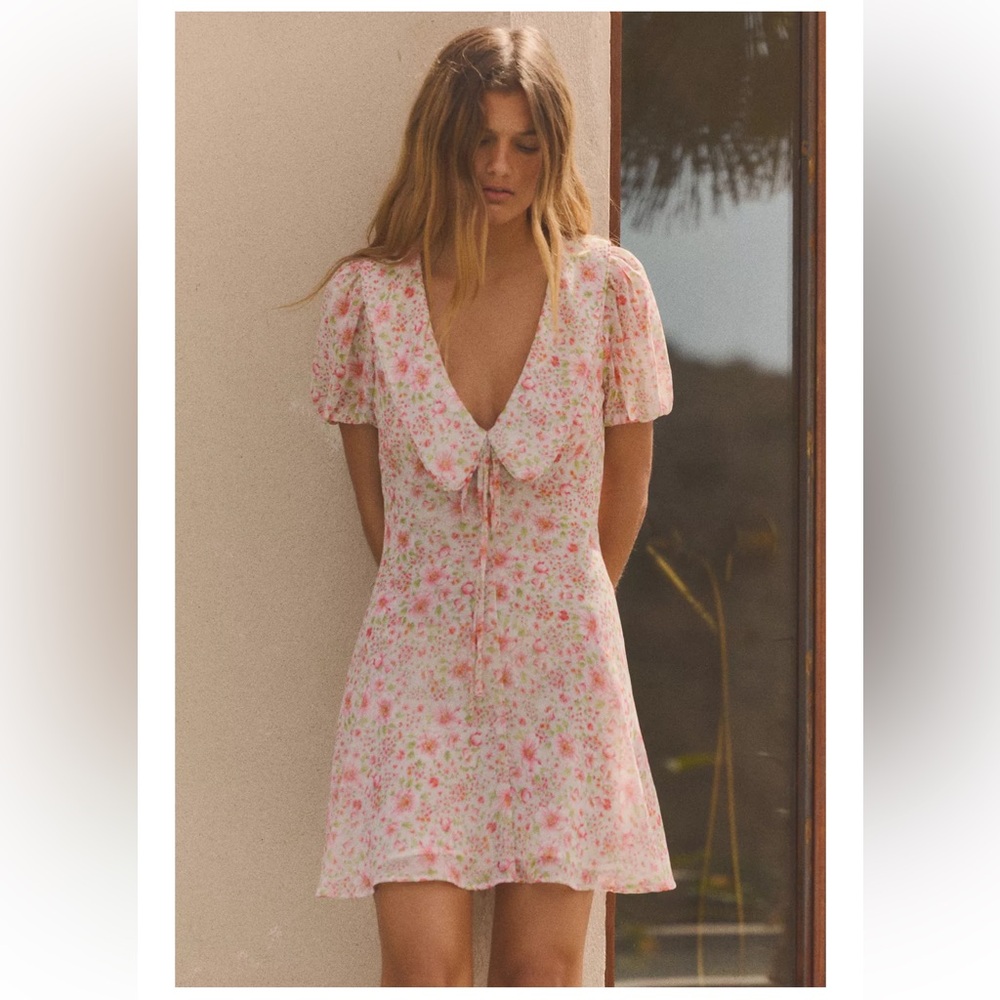 NWT Zara Floral Peter Pan Collar Dress Size XSmall